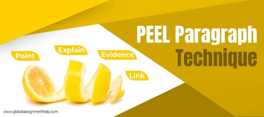PEEL Paragraph & Its Structure