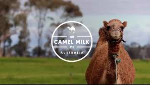 The Camel Milk Co. Australia, 2021