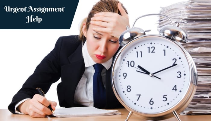 Urgent Assignment Help